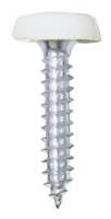 Pearl Number Plate Fixing Screws - White - Pack of 50