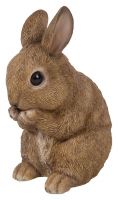 Baby Rabbit Sitting - Lifelike Garden Ornament - Indoor or Outdoor - Real Life