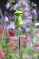 Flamboya Barmy Stakes Frog - Assorted