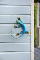 Flamboya Hangers On Decor Gecko - Azure