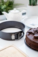 Luxe Kitchen 25cm/10? Springform Cake Pan