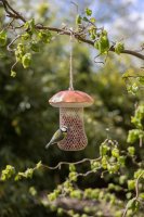 Fallen Fruits Bird Feeder Porcini