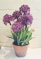 Allium Foliage In Pot Artificial Flower Purple - 42cm - Sincere