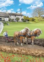 Birthday Card - Working Horses Ploughing - Country Cards