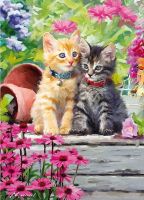 Birthday Card - Ginger Tabby Kitten Cat - Pair - Country Cards