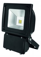 Lumineux 70w LED Floodlight 4000k Black - (400640-BL)