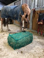 Slow Feed Standard Hay Bale