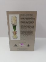 Taylors White Hyacinth Grow Kit With Glass Carafe - 1 Bulb