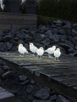 Konstsmide Acrylic LED Birds (Set of 5)