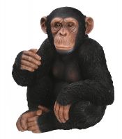 Chimp Chimpanzee Sitting - Lifelike Garden Ornament - Indoor or Outdoor - Real Life