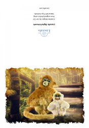 Greeting Card featuring Hansa Soft Toy Monkeys. Created by LDA. C26