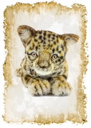 Greeting Card featuring Hansa Soft Toy Leopard. Created by LDA. C18