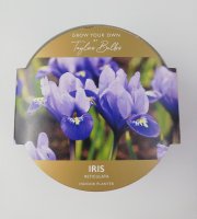 Taylors Grow-Your-Own Owl Planter - 5 Iris Reticulata Bulbs