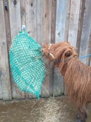 Slow Feed Hay Net 7.5kg