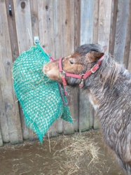 Slow Feed Hay Net 7.5kg