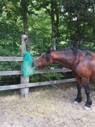 Pony Pocket Slow Feed Hay Nets