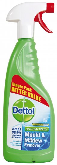 Dettol mould deals and mildew remover