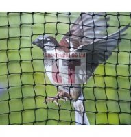 Sparrow Netting Black-