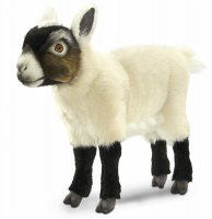 Soft Toy Cream & Black Goat Kid by Hansa (30cm) 7021
