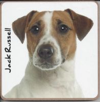 Jack Russell Dog or Puppy Coaster - Dog Lovers - 2 Designs 