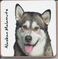 Alaskan Malamute Dog Coaster - Dog Lovers