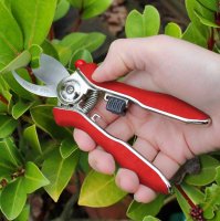 Darlac Mini Bypass Pruner