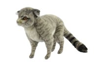 Scottish Wildcat by Hansa (41cm) 7629