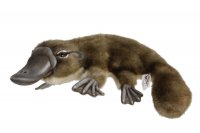 Soft Toy Platypus by Hansa (40cm) 7683