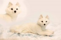 Soft Toy White Fox Lying by Hansa (40cmL) 6088