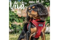 Viva Step-In Harness - Large Red