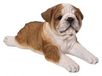 Laying Bulldog Puppy - Lifelike Garden Ornament - Indoor or Outdoor - Real Life