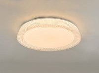 Udell Flush Acrylic LED Ceiling Light