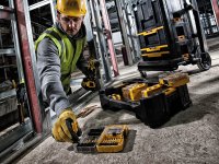 DeWalt TSTAK? Caddy