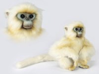 Soft Toy Snubbed Nose Monkey by Hansa (30cm) 6765