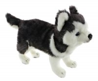 Soft Toy Dog, Husky Pup by Hansa (20cm.H) 6970