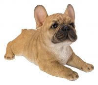French Golden Bulldog Laying Puppy Dog - Lifelike Ornament Gift - Indoor Outdoor - Pet Pals