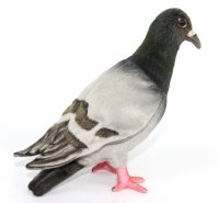 Soft Toy Bird, Cher Ami Homing Pigeon by Hansa (15cm.H) 8160