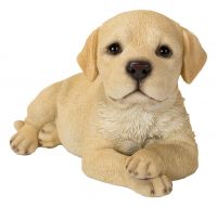Labrador Golden Laying Puppy Dog - Lifelike Ornament Gift - Indoor Outdoor - Pet Pals