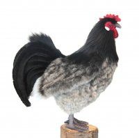 Soft Toy Bird, Alsace Hen, Chicken by Hansa (34cm) 6037