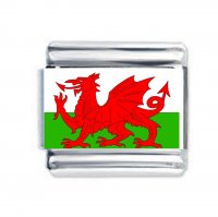 Colorev by Daisy Charm - WELSH FLAG Wales For 9mm Italian Modular charm bracelet
