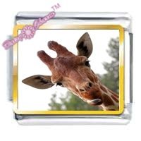 Giraffe Picture Italian Charm