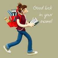 Good Luck in Your Exams Card - Female One Lump Or Two