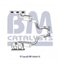 BM Cats Petrol Cat TA Euro 4 BM92195H