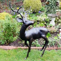 Solstice Sculptures Stag Large 109cm in Dark Bronze Effect