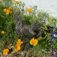 Solstice Sculptures Driftwood Cockerel 42cm