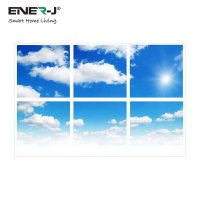ENER-J 600X600 LED Sky Ceiling Panel - 3D (4 Units) - (E801)