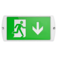 IP65 Multi-Purpose LED Surface or Recessed Emergency Exit Bulkhead for Walls or Ceilings - ESGN0305R65
