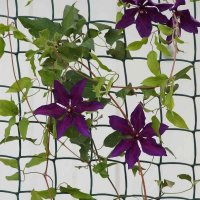 Smart Garden Climbing Plant & Fencing Mesh 50mm 1 x 5M - Brown