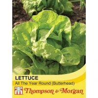 Thompson & morgan Lettuce All Year Round