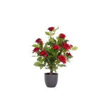 Smart Garden Garland 60cm Regent's Roses - Ruby Red